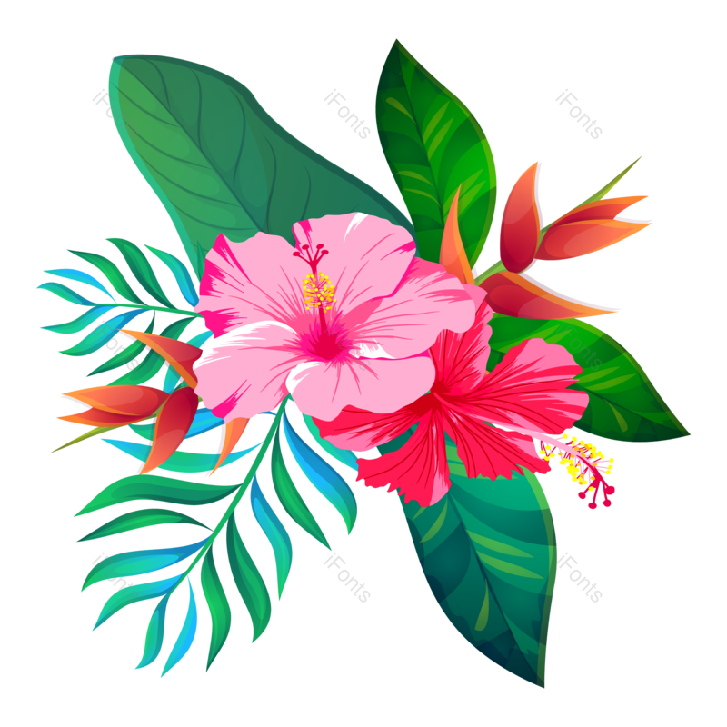 叶子图片,花卉元素,花草PNG,鲜花免抠素材